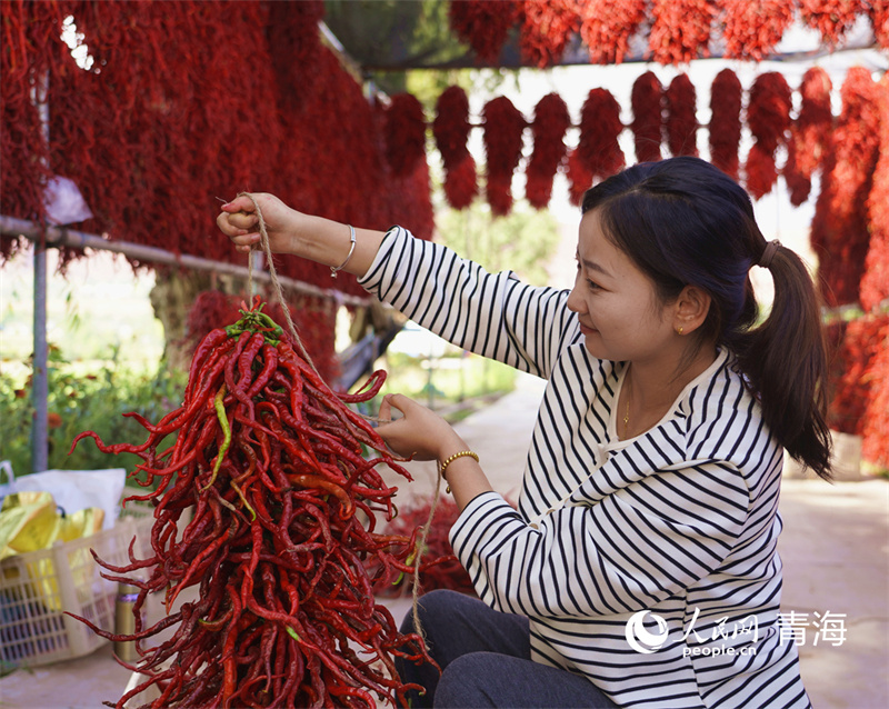 串起線辣椒再晾干。人民網(wǎng)記者 楊啟紅攝
