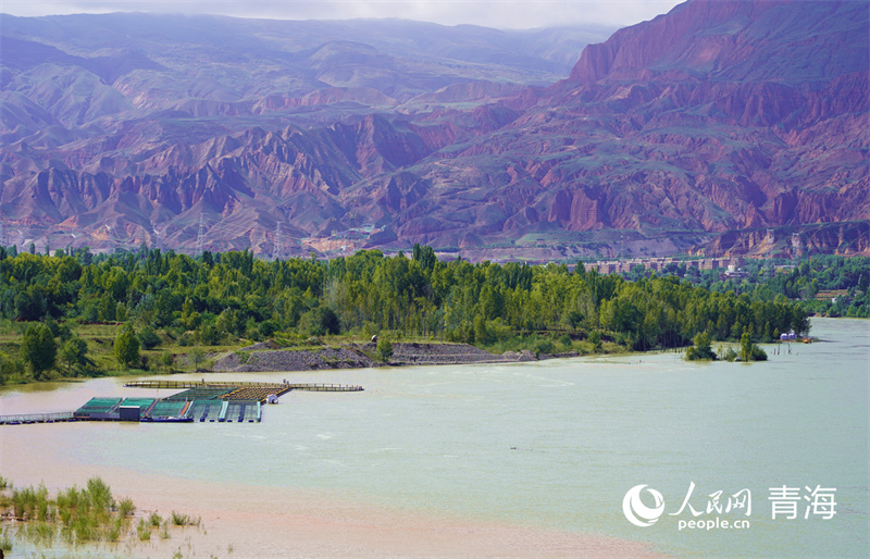 冷水魚(yú)養(yǎng)殖。人民網(wǎng)記者 楊啟紅攝