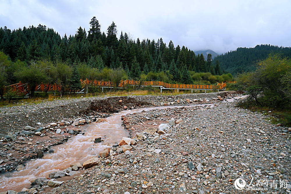藏匿于高山深澗的祁連山國(guó)家公園野生動(dòng)物救護(hù)中心。人民網(wǎng) 陳明菊攝