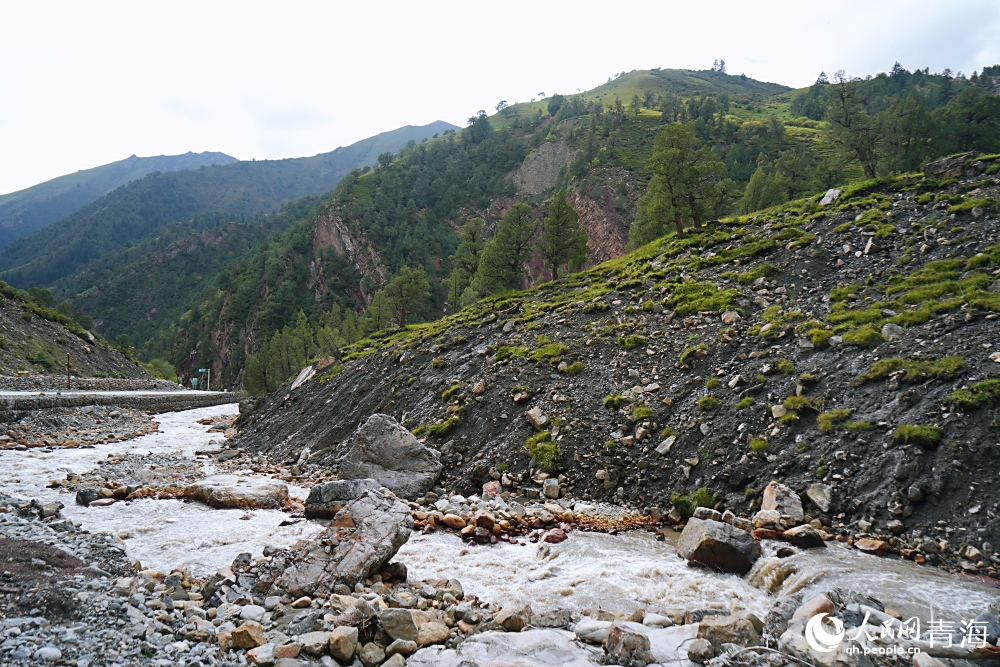 大拉洞管護(hù)區(qū)。人民網(wǎng) 陳明菊攝