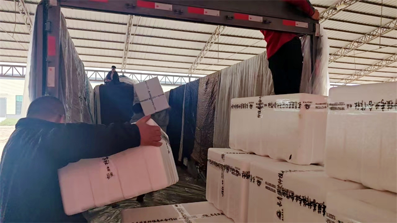 蔬菜裝車。俞惠珍攝