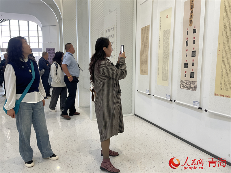 市民觀看展覽。人民網(wǎng) 況玉攝