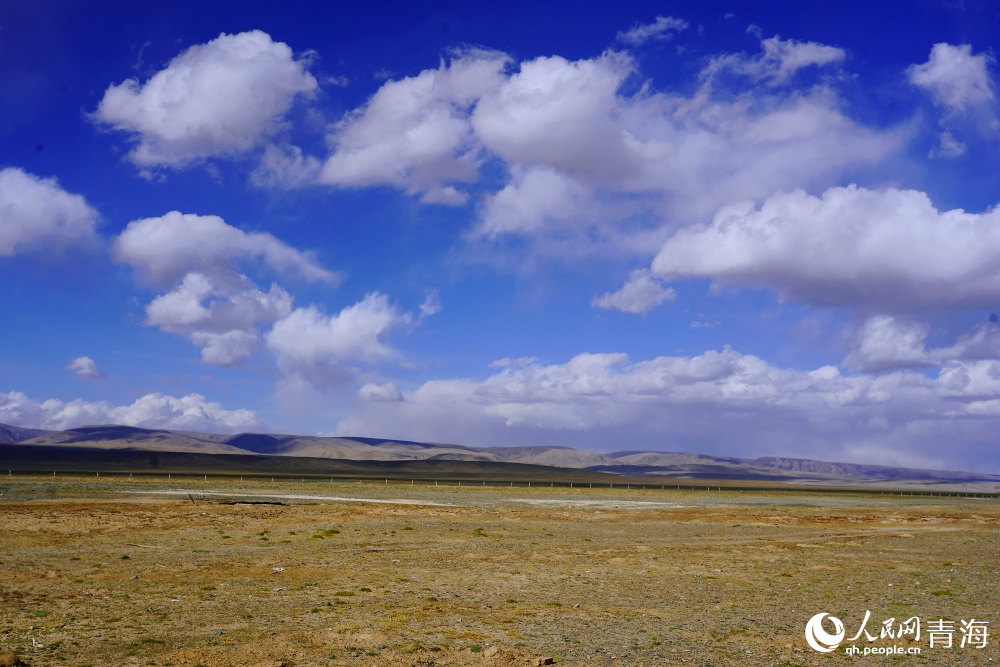 碧空下的金色戈壁灘。人民網(wǎng) 陳明菊攝