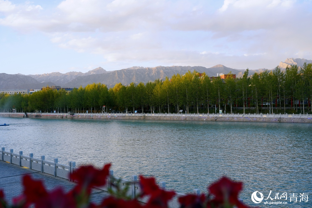 靜靜流淌的巴音河。人民網(wǎng) 陳明菊攝