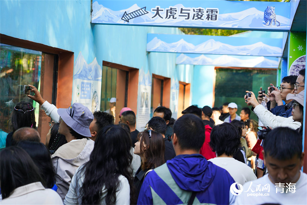 雪豹館外游客爭相為雪豹拍照。人民網(wǎng)記者 張莉萍攝