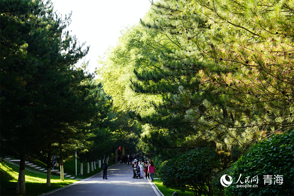 游客游園。人民網記者 張莉萍攝