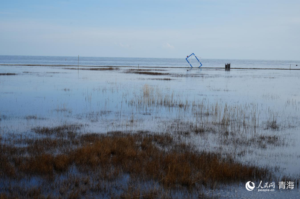 仙女灣濕地。人民網(wǎng) 陳明菊攝