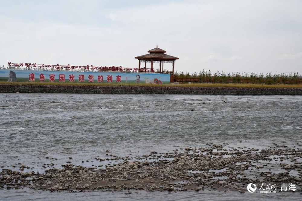 湟魚家園。人民網(wǎng) 陳明菊攝