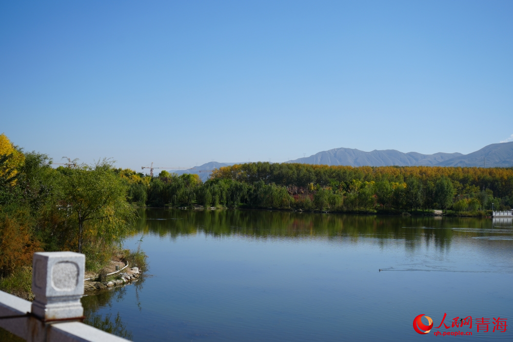 三河濕地公園秋韻濃。人民網(wǎng) 陳明菊攝