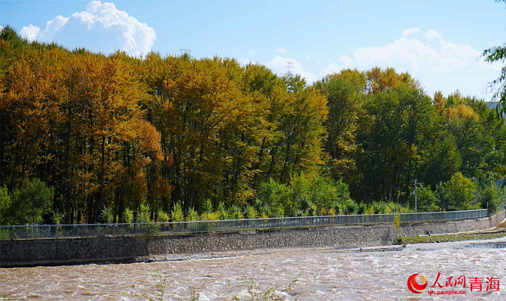 三河濕地公園秋韻濃。人民網(wǎng) 陳明菊攝