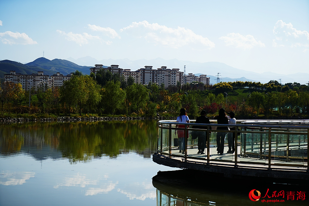 市民漫步在三河濕地公園。人民網(wǎng) 陳明菊攝