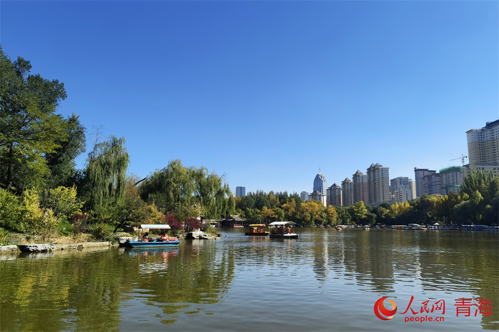 西寧市人民公園秋景如畫。人民網(wǎng) 馬可欣攝