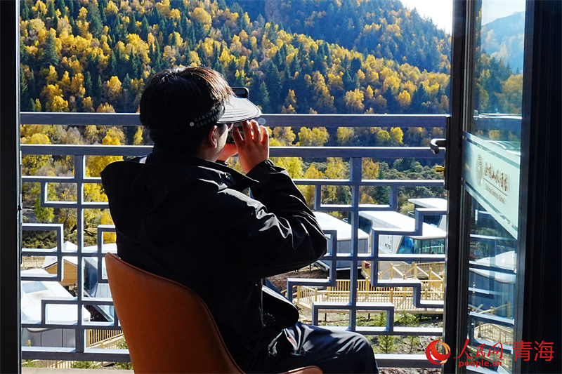 游人賞秋。人民網(wǎng)記者 甘海瓊攝