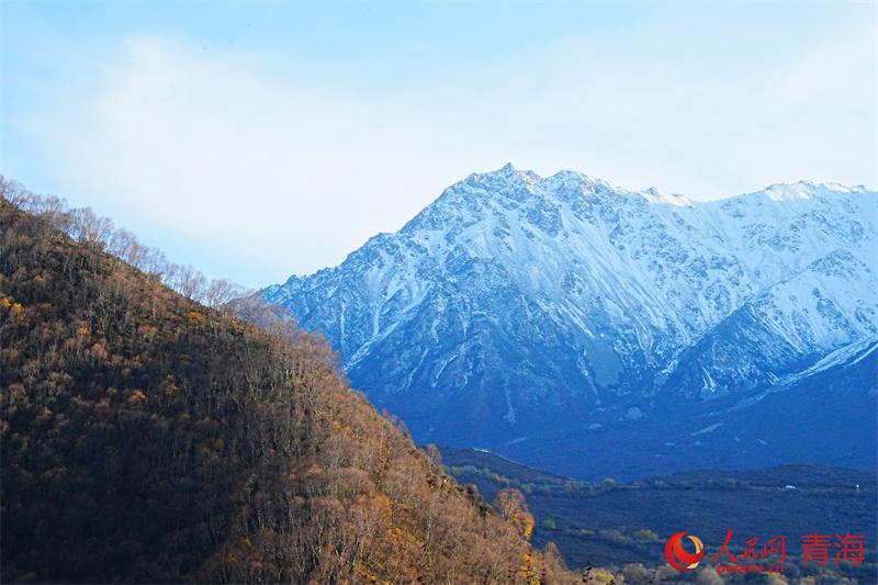 秋景美如畫。人民網(wǎng)記者 甘海瓊攝