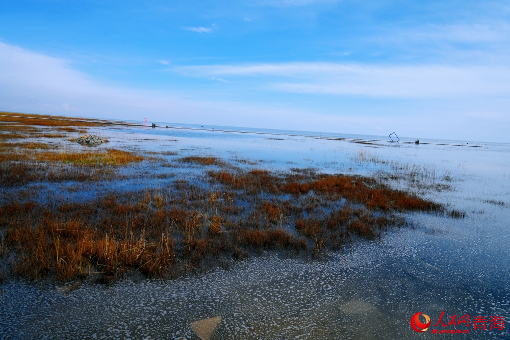 仙女灣秋色。人民網(wǎng) 陳明菊攝