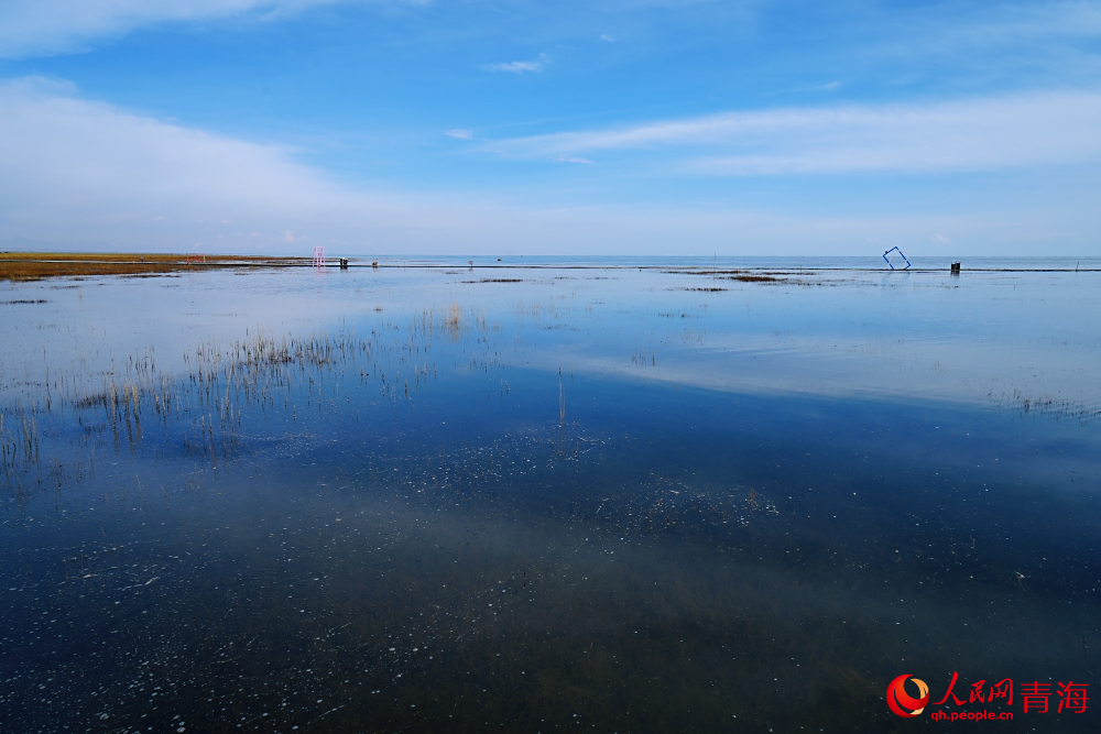 青海湖北岸風(fēng)光。人民網(wǎng) 陳明菊攝