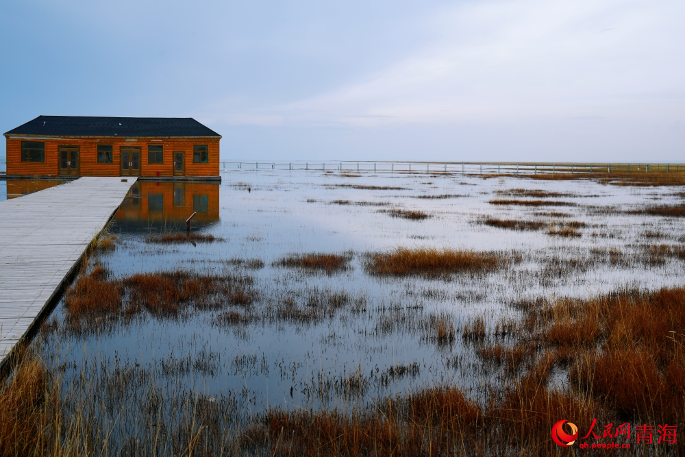 仙女灣秋色。人民網(wǎng) 陳明菊攝