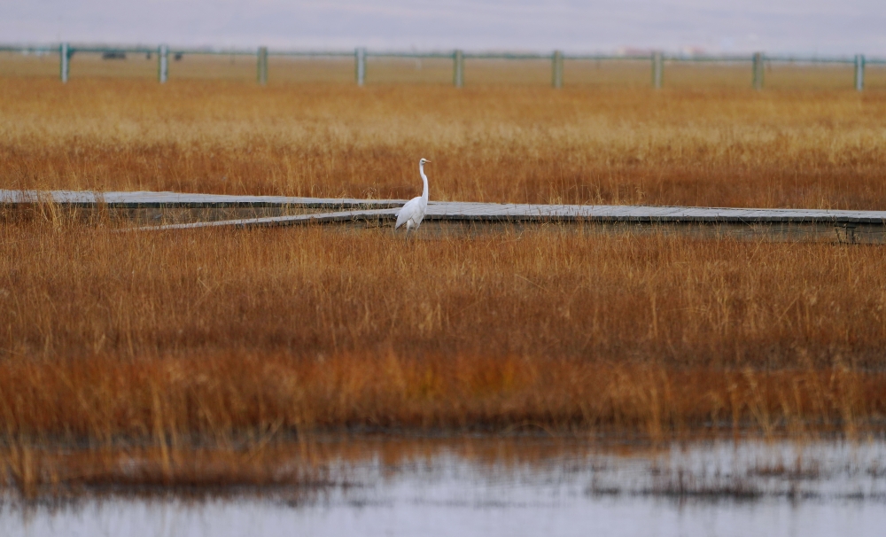 仙女灣秋色。祁曉軍攝