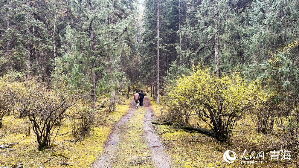 游人賞秋。人民網(wǎng)記者 張莉萍攝