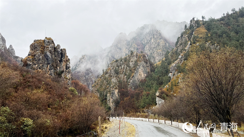 祁連山下滿目秋。人民網(wǎng)記者 張莉萍攝