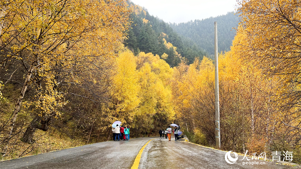 游人賞秋。人民網(wǎng)記者 張莉萍攝