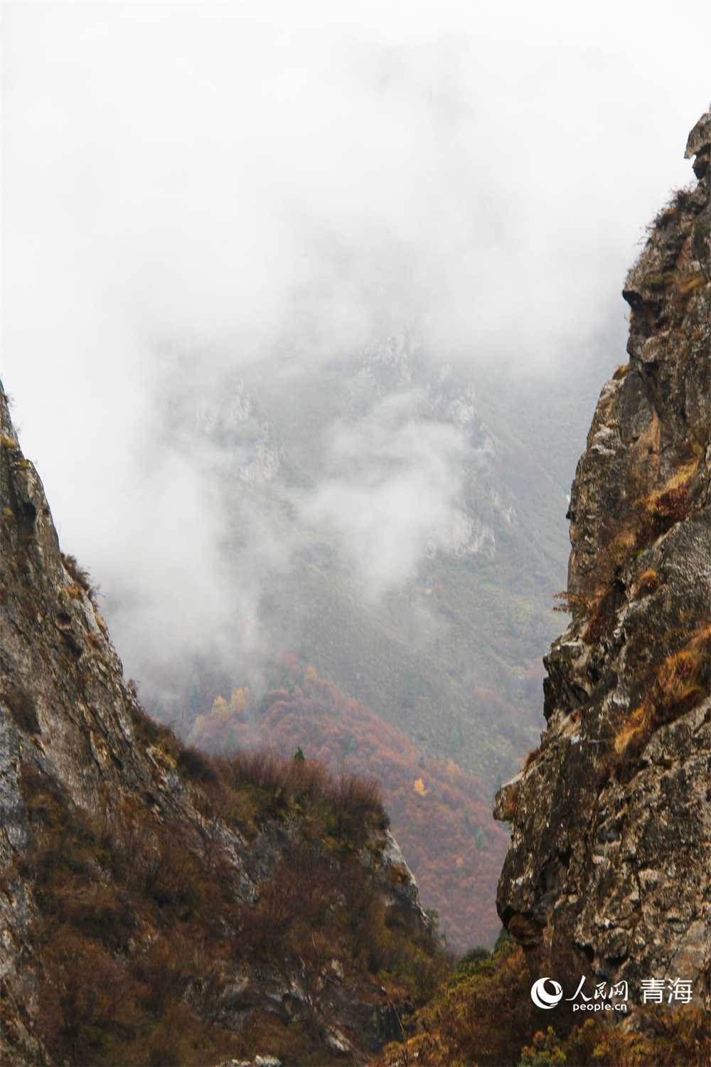 祁連山下滿目秋。人民網(wǎng)記者 張莉萍攝