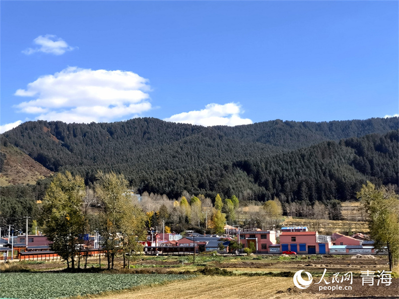 大通縣東峽鎮(zhèn)斑斕的秋色。人民網(wǎng) 馬可欣攝