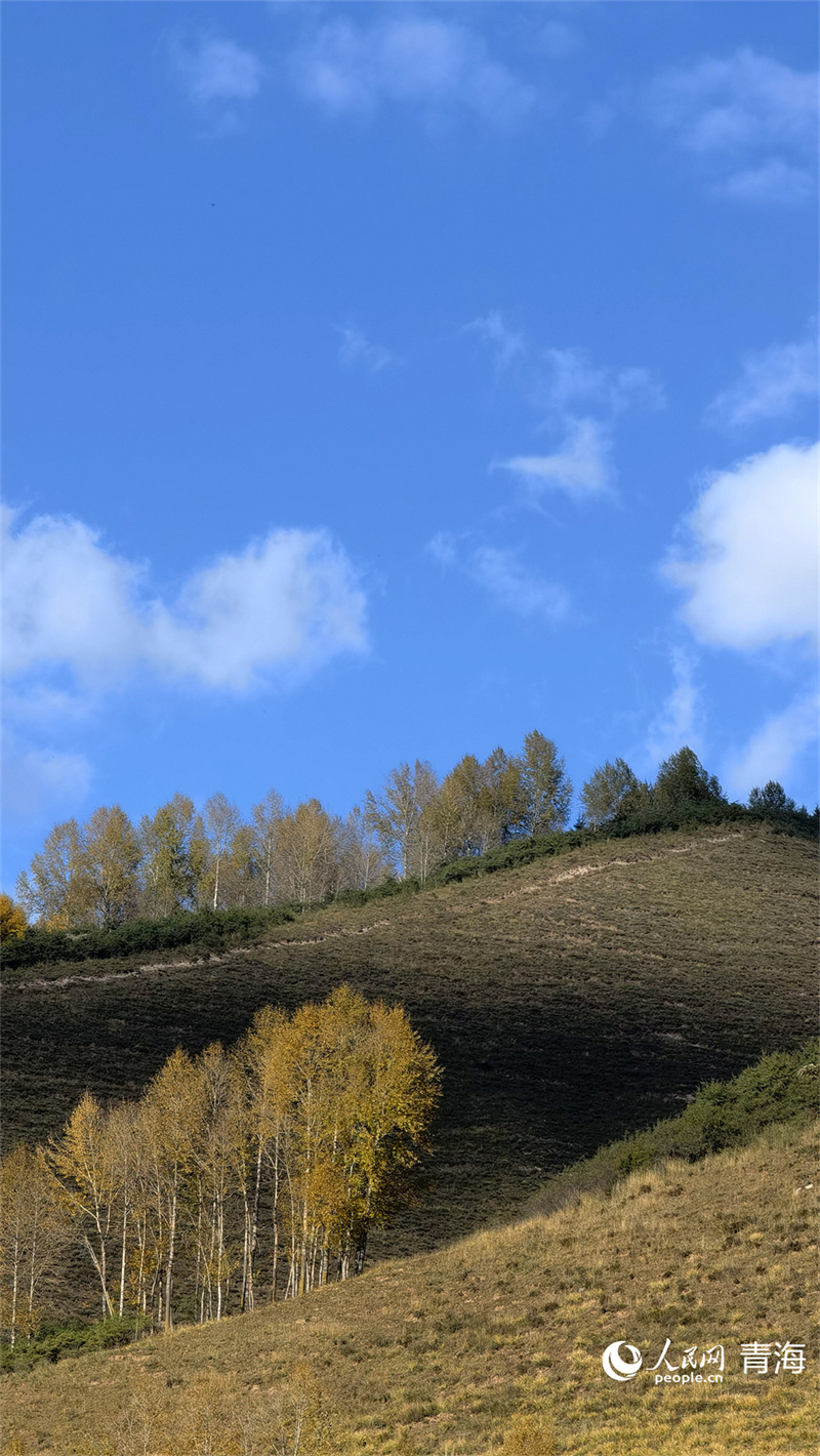 大通縣東峽鎮(zhèn)秋色漸深。人民網(wǎng) 馬可欣攝