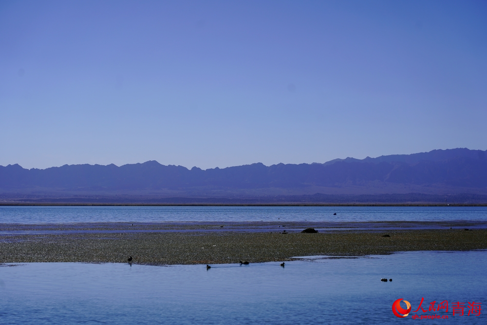 安靜的可魯克湖。人民網(wǎng) 陳明菊攝