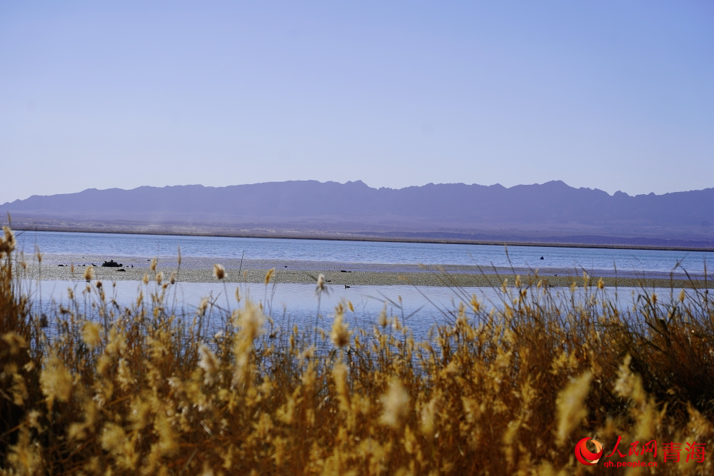 可魯克湖秋色如畫。人民網 陳明菊攝