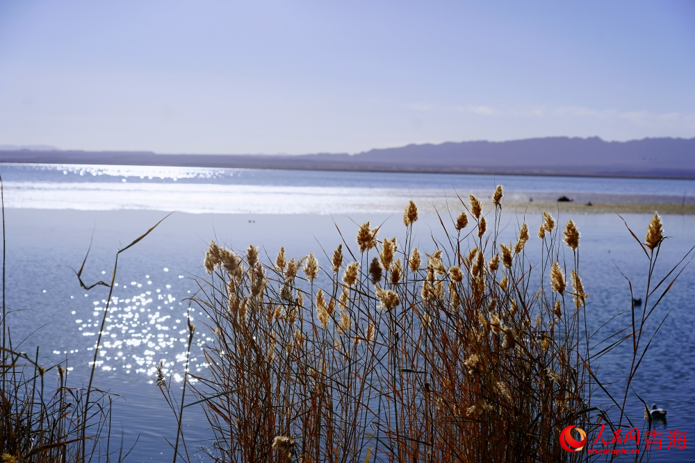 可魯克湖秋色如畫。人民網(wǎng) 陳明菊攝