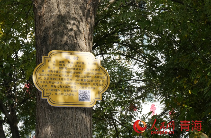 校園內(nèi)的科普知識。人民網(wǎng)記者 甘海瓊攝