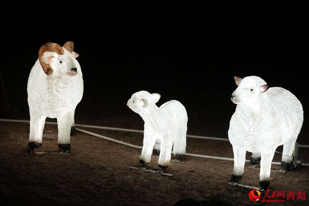 夜游麒麟灣。人民網(wǎng) 陳明菊攝