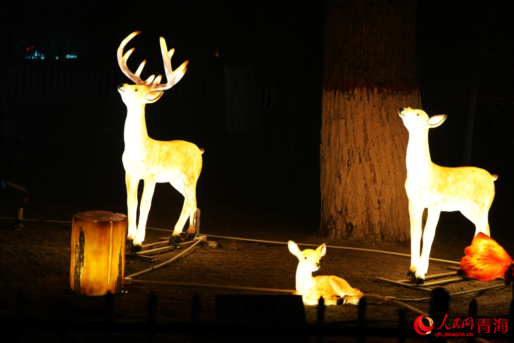 夜游麒麟灣。人民網(wǎng) 陳明菊攝