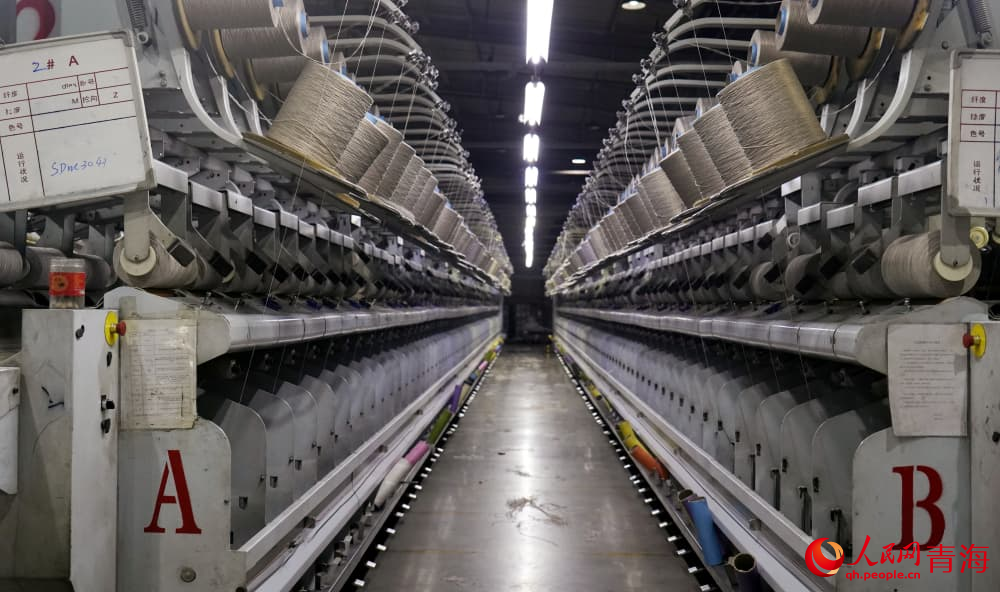 喜馬拉雅生產(chǎn)車間。人民網(wǎng) 況玉攝