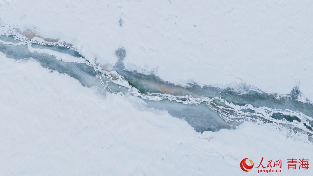 漸漸蘇醒的青海湖。人民網(wǎng) 況玉攝