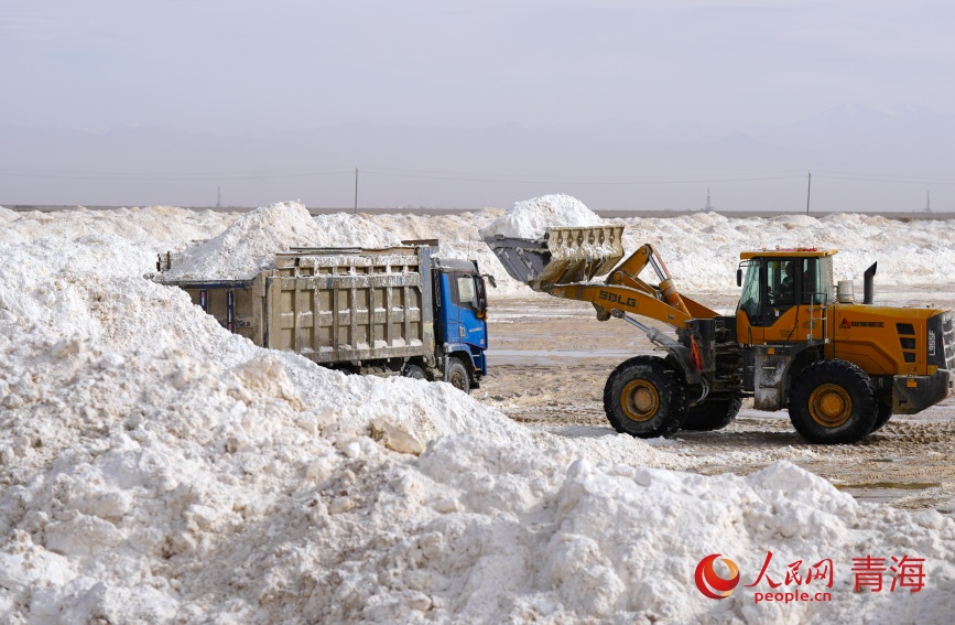 鉀鹽裝車。人民網(wǎng)記者 甘海瓊攝