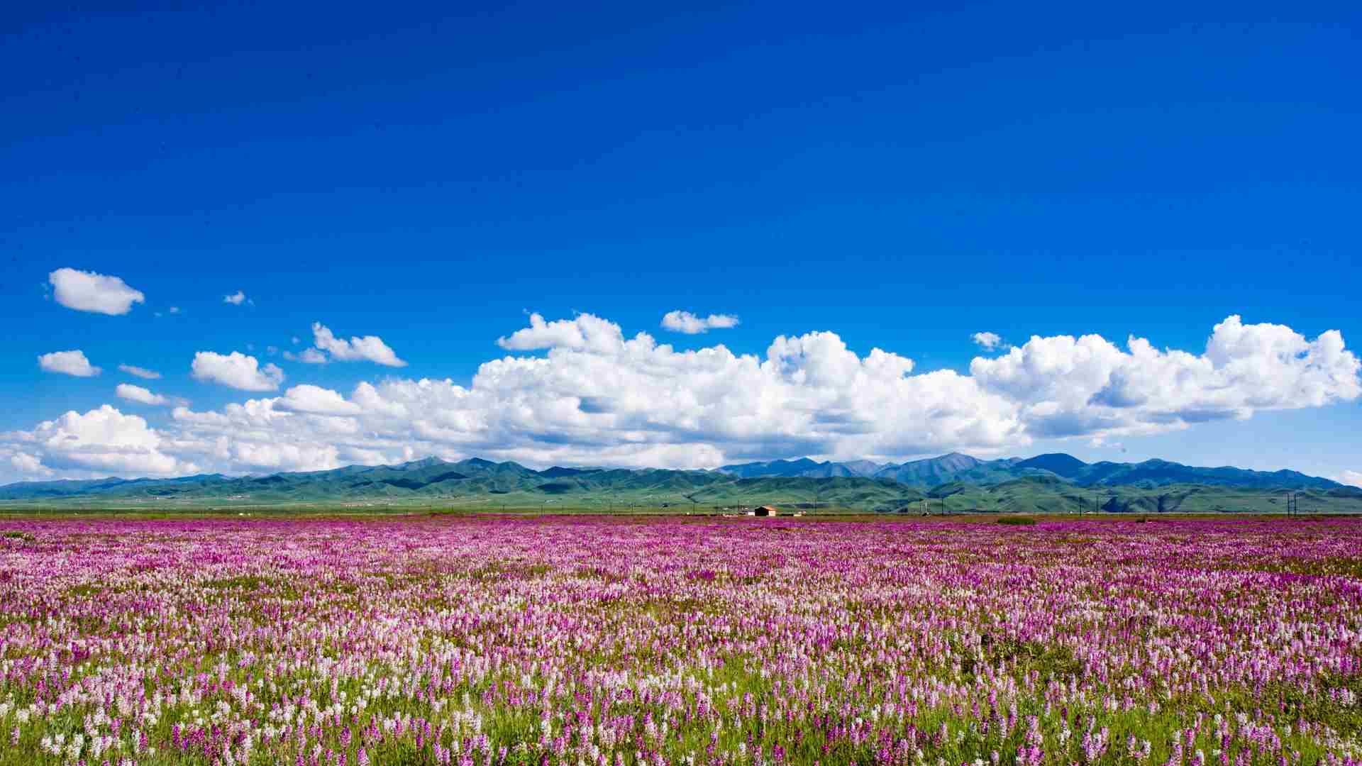 流彩貴南邀您來
