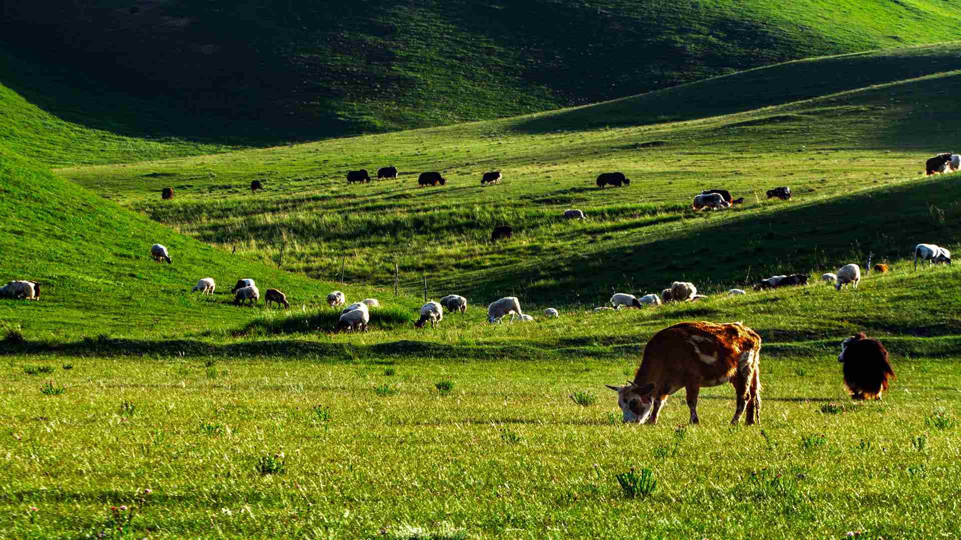 流彩貴南邀您來