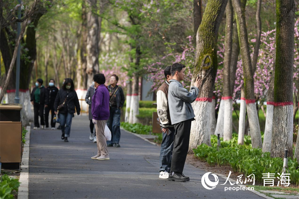 市民觀賞拍照公園美景。人民網(wǎng) 馬可欣攝