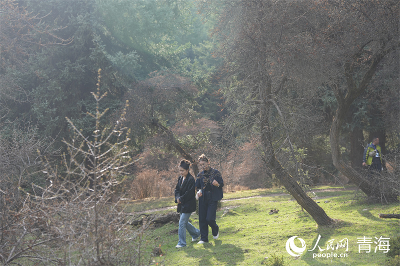 游客在鷂子溝國(guó)家森林公園。人民網(wǎng) 馬可欣攝