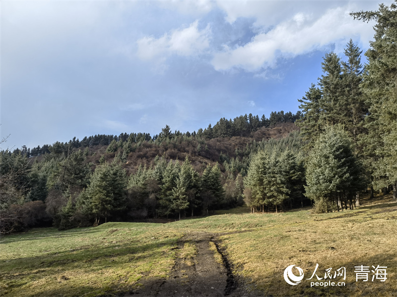 鷂子溝國家森林公園景色。人民網(wǎng) 馬可欣攝