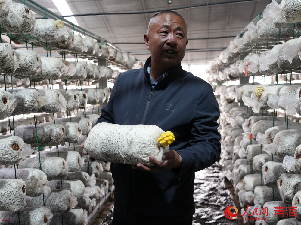 李國善介紹菌菇品種。人民網(wǎng) 況玉攝