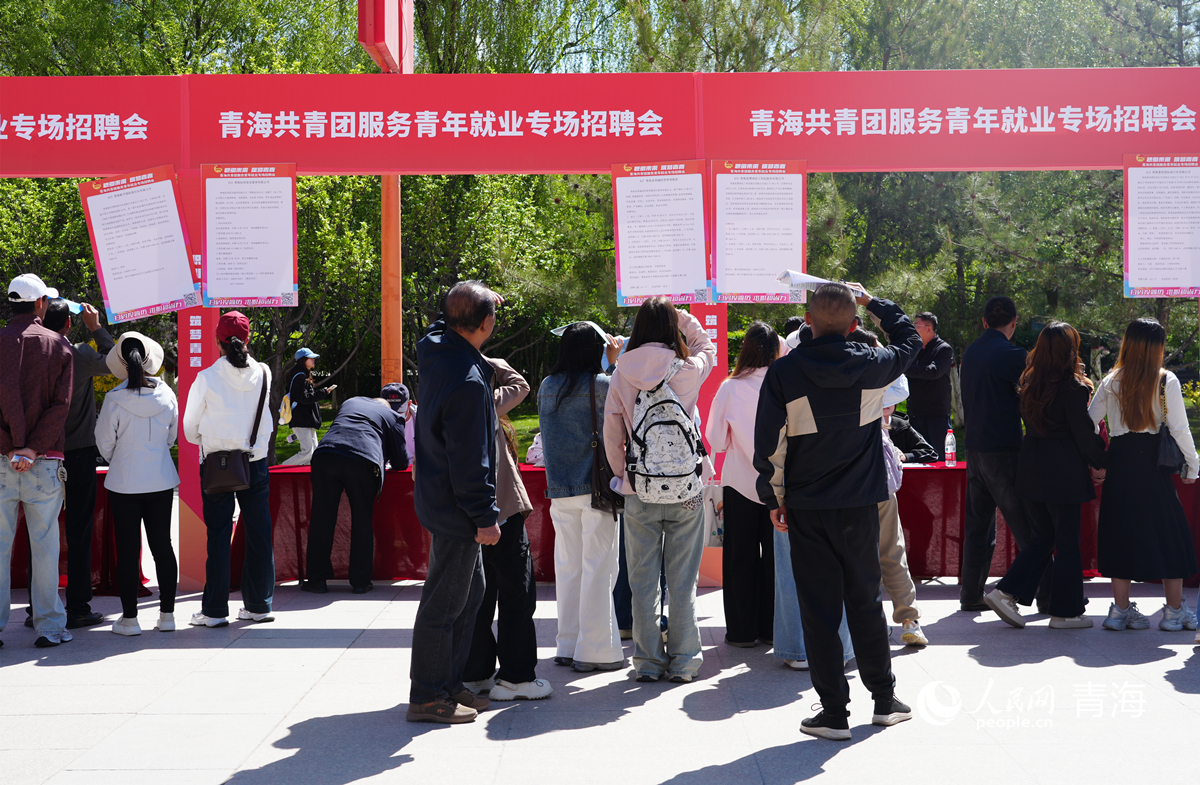 求職者了解崗位信息。人民網(wǎng)記者 楊啟紅攝