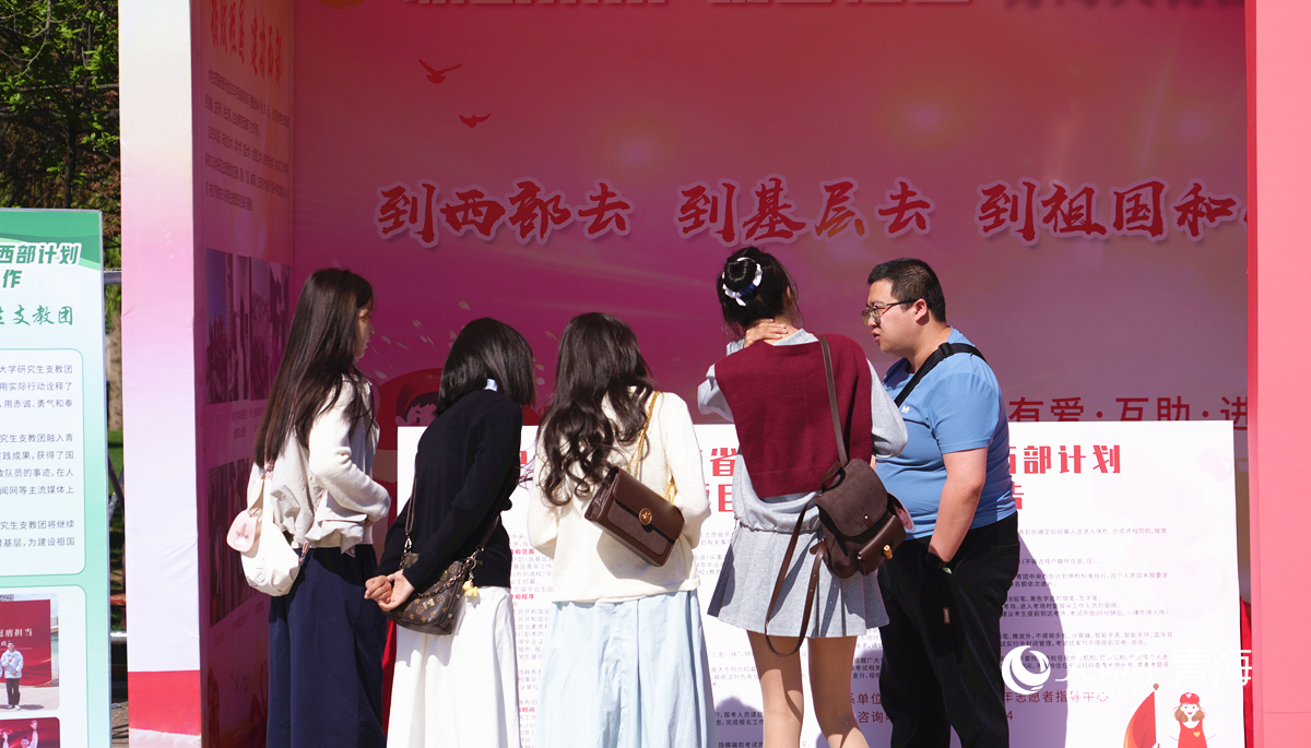求職者了解大學(xué)生志愿服務(wù)西部計(jì)劃。人民網(wǎng)記者 楊啟紅攝