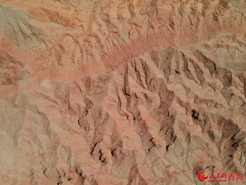 沙丘輪廓清晰、層次分明。人民網(wǎng) 況玉攝