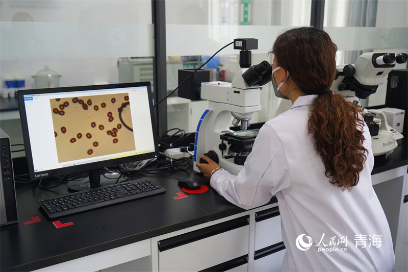 中復(fù)神鷹碳纖維西寧有限公司技術(shù)人員對(duì)碳纖維性能進(jìn)行檢測。人民網(wǎng)記者 張莉萍攝