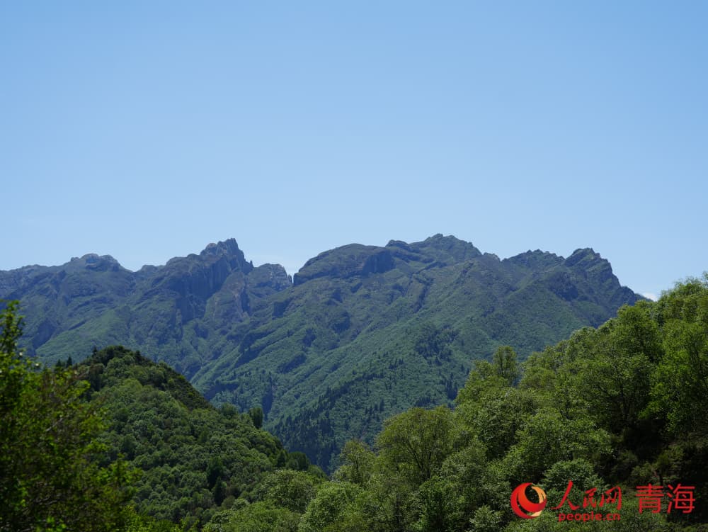 群加美景。人民網(wǎng) 況玉攝