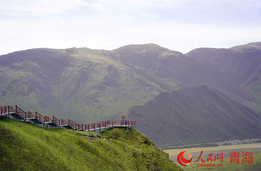 夏日的“女兒灣”生機盎然，風光秀美。人民網(wǎng) 顧斐菲攝