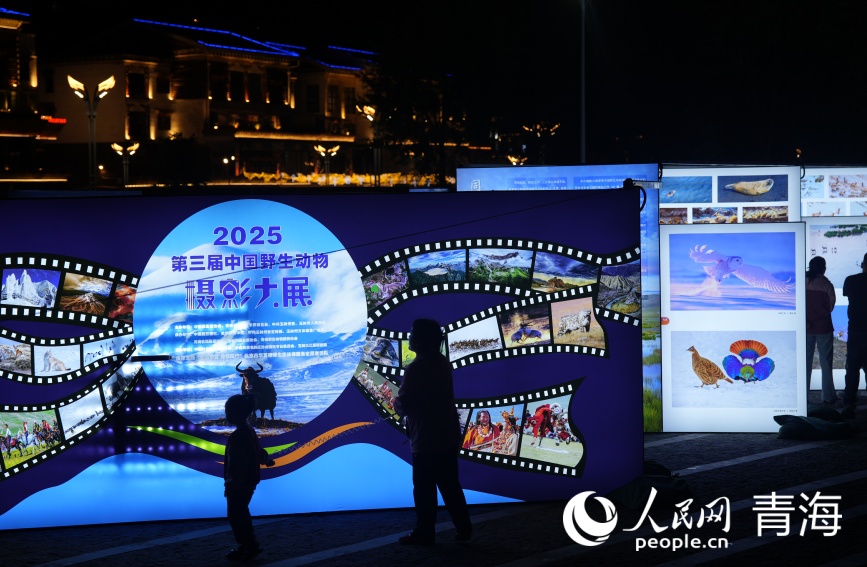 攝影展現(xiàn)場(chǎng)。人民網(wǎng)記者 甘海瓊攝